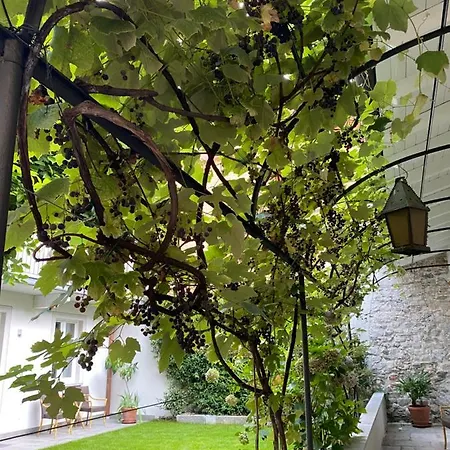 Апартаменты Garden *