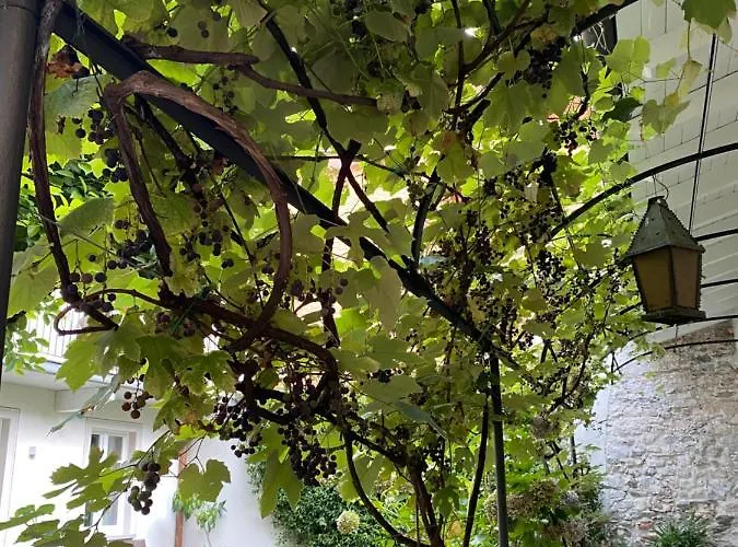 Διαμέρισμα Garden *